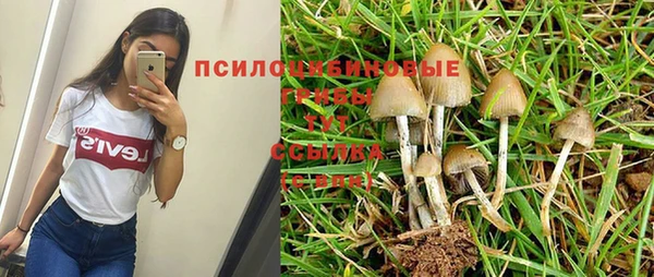 ALPHA-PVP Абинск